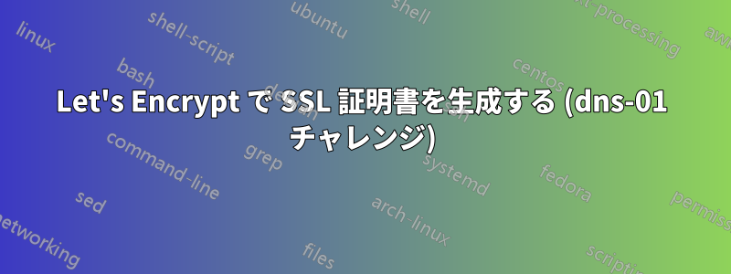 Let's Encrypt で SSL 証明書を生成する (dns-01 チャレンジ)