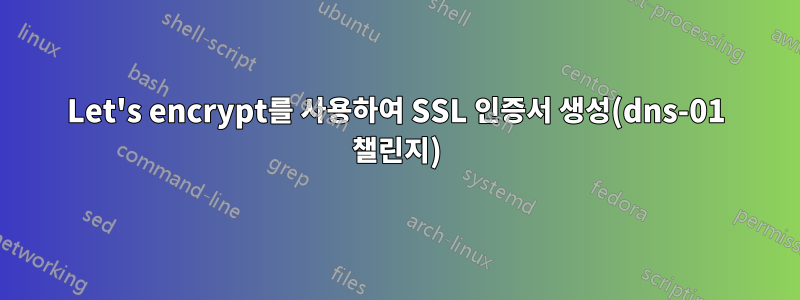 Let's encrypt를 사용하여 SSL 인증서 생성(dns-01 챌린지)