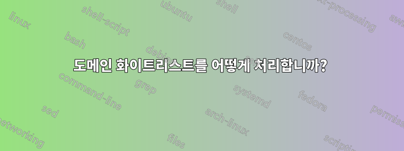 도메인 화이트리스트를 어떻게 처리합니까?