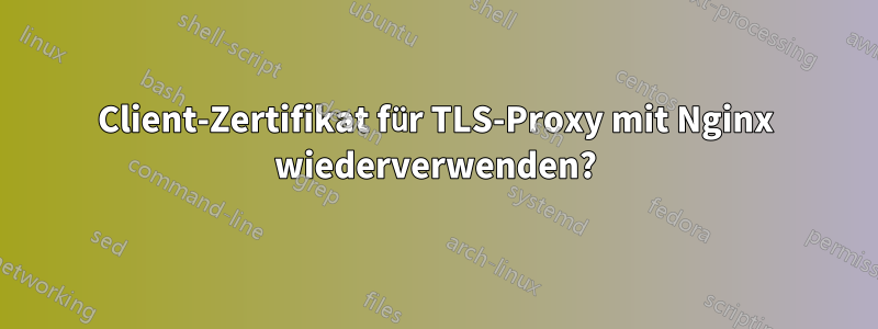 Client-Zertifikat für TLS-Proxy mit Nginx wiederverwenden?
