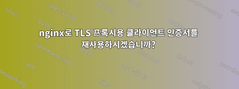nginx로 TLS 프록시용 클라이언트 인증서를 재사용하시겠습니까?