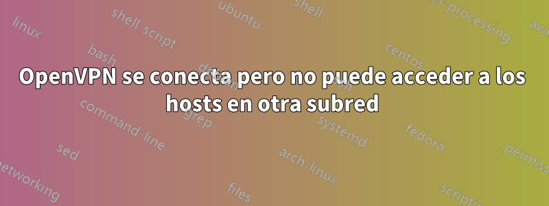 OpenVPN se conecta pero no puede acceder a los hosts en otra subred