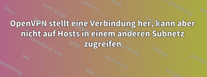 OpenVPN stellt eine Verbindung her, kann aber nicht auf Hosts in einem anderen Subnetz zugreifen