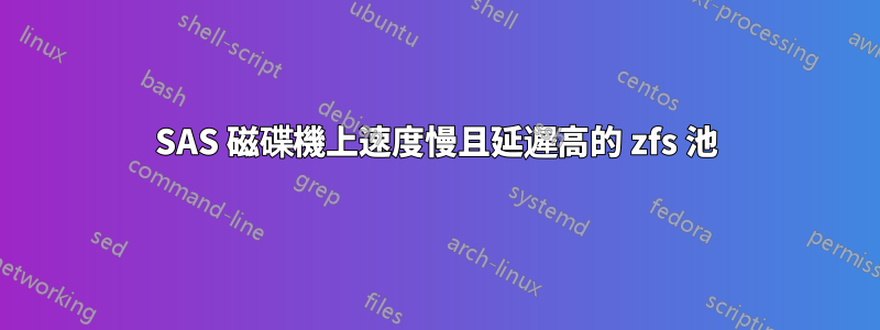 SAS 磁碟機上速度慢且延遲高的 zfs 池