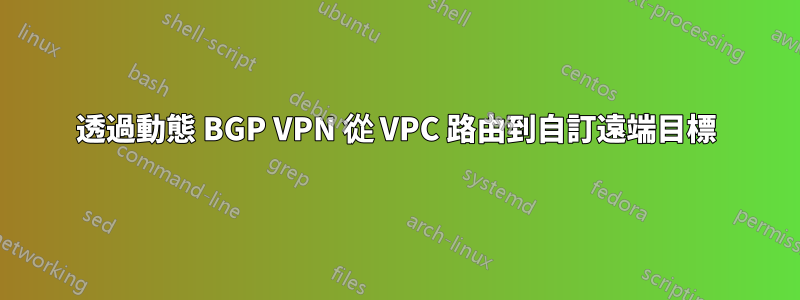 透過動態 BGP VPN 從 VPC 路由到自訂遠端目標