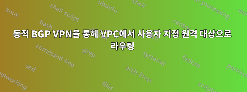 동적 BGP VPN을 통해 VPC에서 사용자 지정 원격 대상으로 라우팅