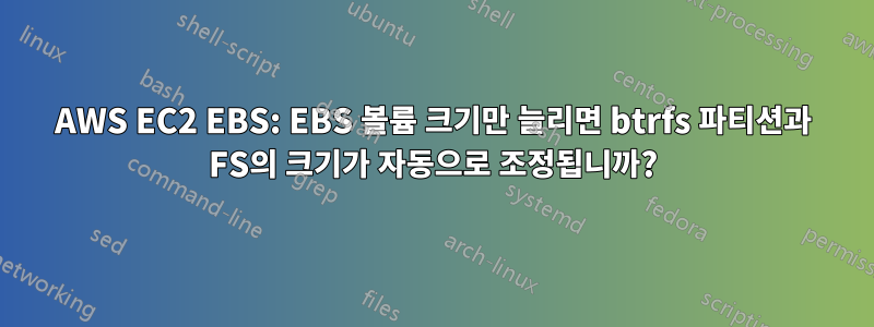 AWS EC2 EBS: EBS 볼륨 크기만 늘리면 btrfs 파티션과 FS의 크기가 자동으로 조정됩니까?