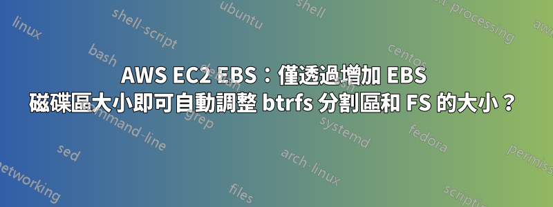 AWS EC2 EBS：僅透過增加 EBS 磁碟區大小即可自動調整 btrfs 分割區和 FS 的大小？