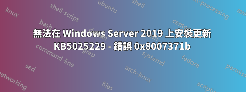 無法在 Windows Server 2019 上安裝更新 KB5025229 - 錯誤 0x8007371b