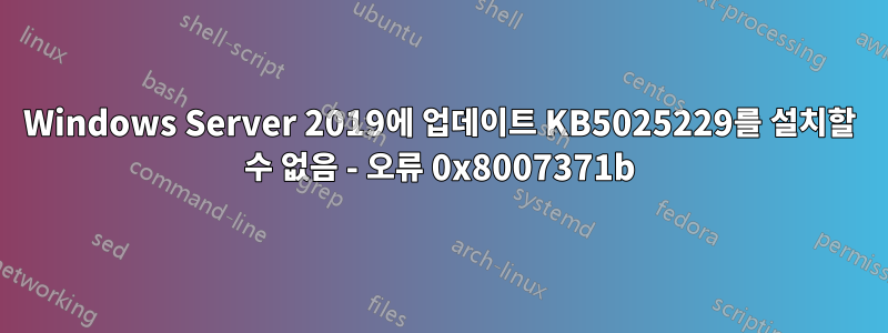 Windows Server 2019에 업데이트 KB5025229를 설치할 수 없음 - 오류 0x8007371b