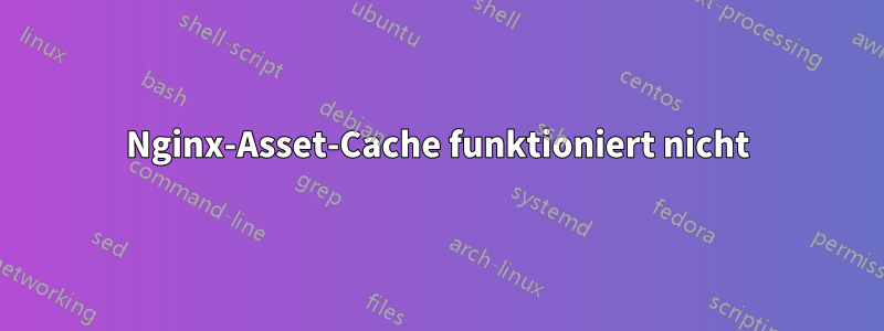 Nginx-Asset-Cache funktioniert nicht