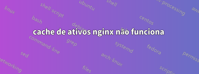 cache de ativos nginx não funciona