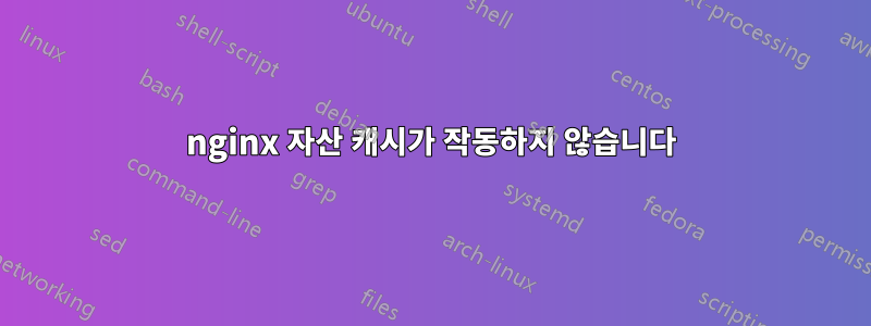 nginx 자산 캐시가 작동하지 않습니다