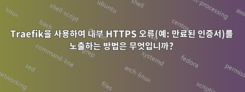 Traefik을 사용하여 내부 HTTPS 오류(예: 만료된 인증서)를 노출하는 방법은 무엇입니까?