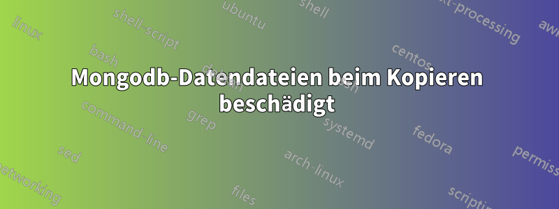 Mongodb-Datendateien beim Kopieren beschädigt