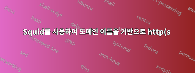 Squid를 사용하여 도메인 이름을 기반으로 http(s) 요청 전달