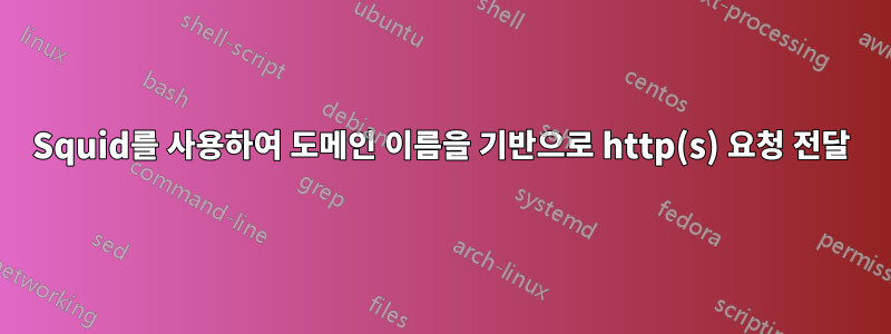 Squid를 사용하여 도메인 이름을 기반으로 http(s) 요청 전달