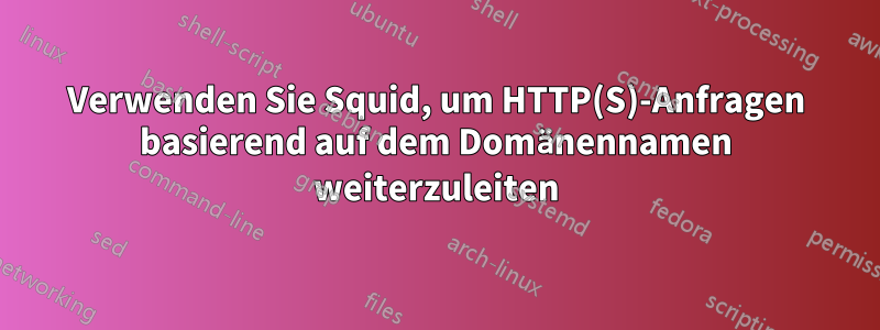 Verwenden Sie Squid, um HTTP(S)-Anfragen basierend auf dem Domänennamen weiterzuleiten