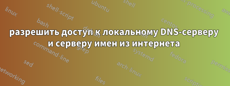 разрешить доступ к локальному DNS-серверу и серверу имен из интернета