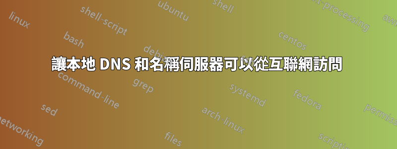 讓本地 DNS 和名稱伺服器可以從互聯網訪問
