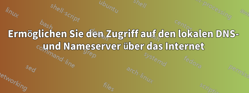 Ermöglichen Sie den Zugriff auf den lokalen DNS- und Nameserver über das Internet