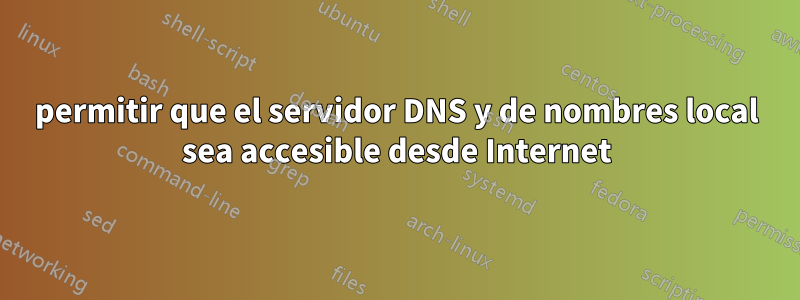 permitir que el servidor DNS y de nombres local sea accesible desde Internet