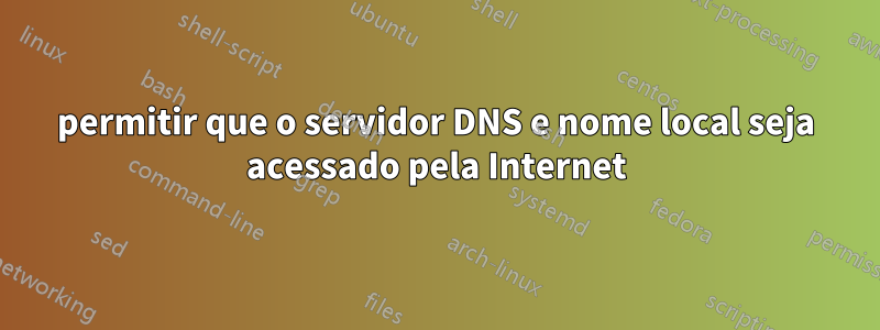 permitir que o servidor DNS e nome local seja acessado pela Internet