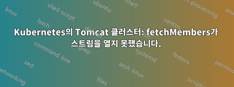 Kubernetes의 Tomcat 클러스터: fetchMembers가 스트림을 열지 못했습니다.