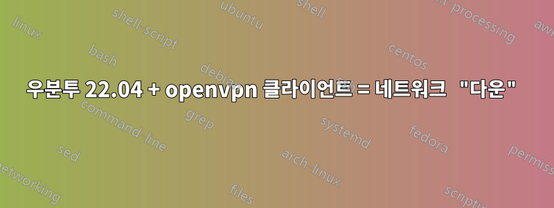 우분투 22.04 + openvpn 클라이언트 = 네트워크 "다운"