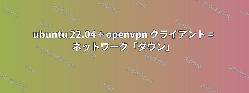 ubuntu 22.04 + openvpn クライアント = ネットワーク「ダウン」