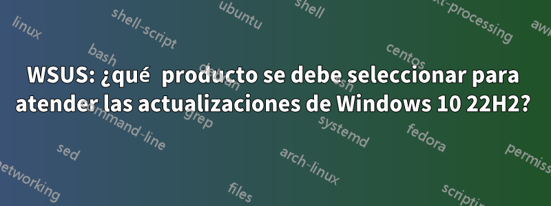 WSUS: ¿qué producto se debe seleccionar para atender las actualizaciones de Windows 10 22H2?