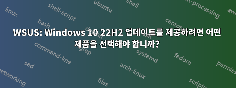WSUS: Windows 10 22H2 업데이트를 제공하려면 어떤 제품을 선택해야 합니까?