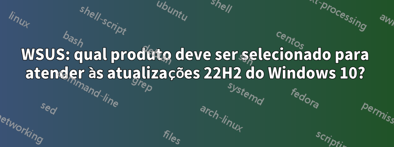WSUS: qual produto deve ser selecionado para atender às atualizações 22H2 do Windows 10?
