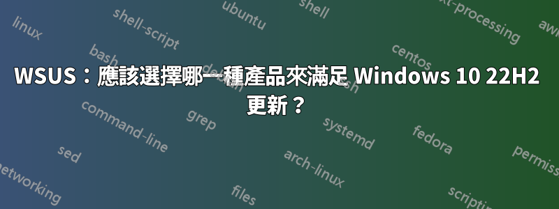 WSUS:應該選擇哪一種產品來滿足 Windows 10 22H2 更新?
