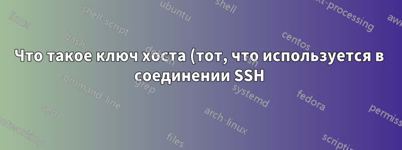 Что такое ключ хоста (тот, что используется в соединении SSH) и чем он отличается от пары открытого и закрытого ключей?