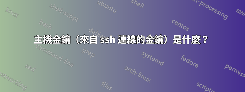 主機金鑰（來自 ssh 連線的金鑰）是什麼？