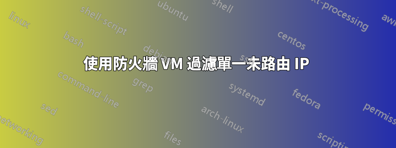 使用防火牆 VM 過濾單一未路由 IP