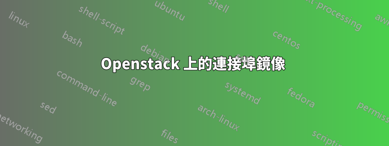 Openstack 上的連接埠鏡像