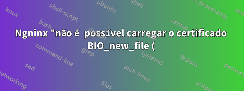 Ngninx "não é possível carregar o certificado BIO_new_file () falhou (SSL: erro: 0200100D: biblioteca do sistema: fopen: Permission ", ajude a corrigir este erro