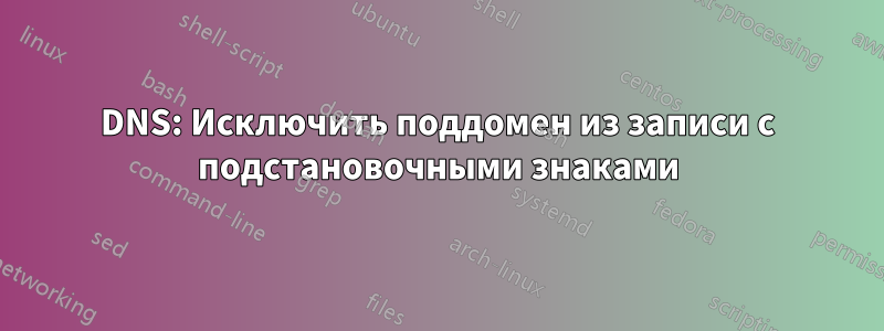 DNS: Исключить поддомен из записи с подстановочными знаками