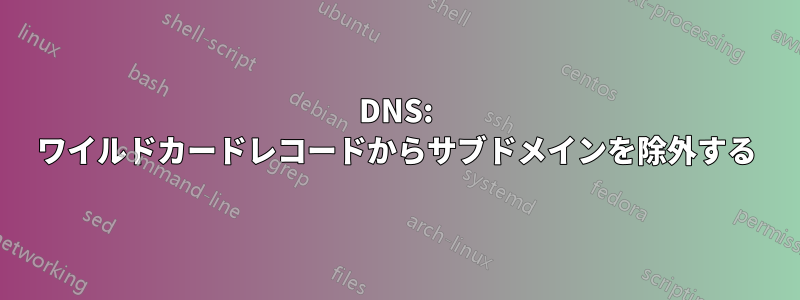 DNS: ワイルドカードレコードからサブドメインを除外する