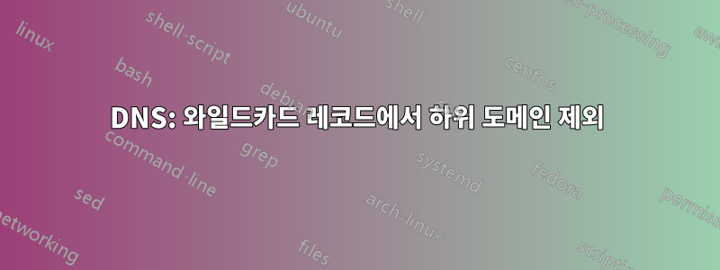 DNS: 와일드카드 레코드에서 하위 도메인 제외