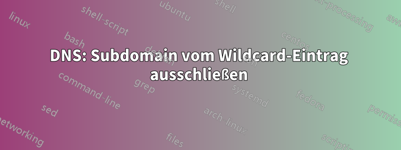 DNS: Subdomain vom Wildcard-Eintrag ausschließen