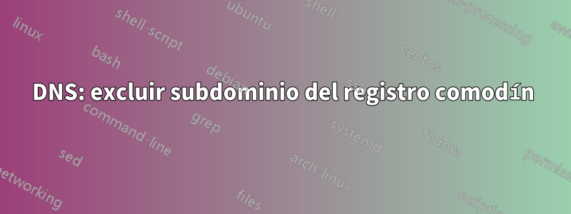 DNS: excluir subdominio del registro comodín