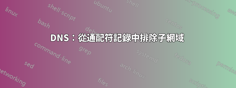 DNS:從通配符記錄中排除子網域
