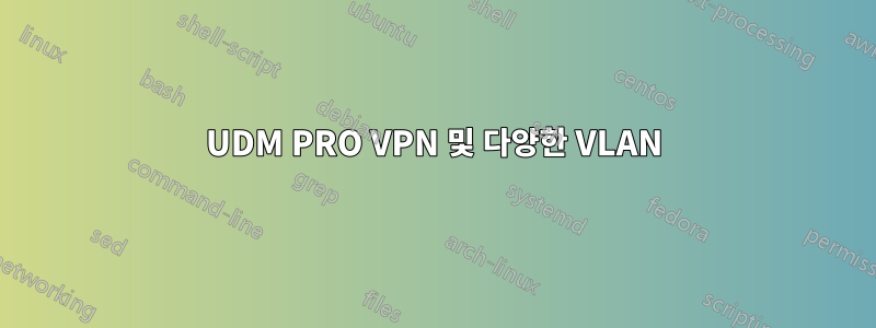 UDM PRO VPN 및 다양한 VLAN