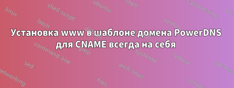 Установка www в шаблоне домена PowerDNS для CNAME всегда на себя