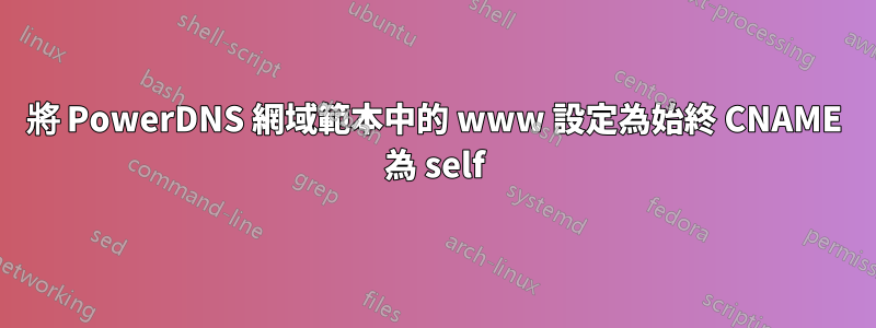 將 PowerDNS 網域範本中的 www 設定為始終 CNAME 為 self