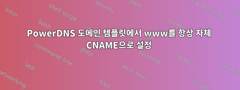 PowerDNS 도메인 템플릿에서 www를 항상 자체 CNAME으로 설정