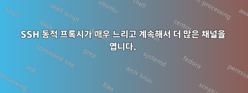 SSH 동적 프록시가 매우 느리고 계속해서 더 많은 채널을 엽니다.
